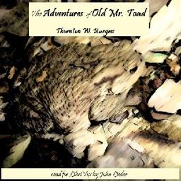 Adventures of Old Mr. Toad cover