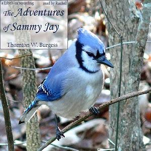 Adventures of Sammy Jay cover
