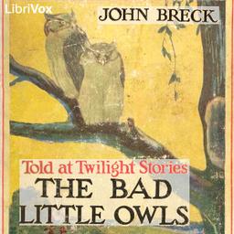 Bad Little Owls cover
