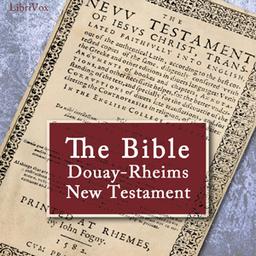 Bible (DRV) New Testament cover