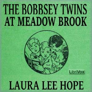 Bobbsey Twins at Meadow Brook cover