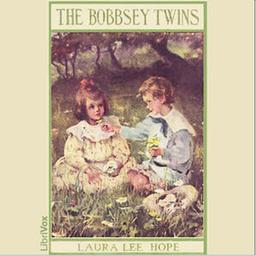 Bobbsey Twins or Merry Days Indoors and Out cover