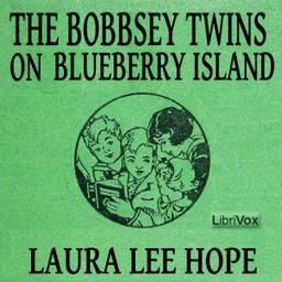 Bobbsey Twins on Blueberry Island cover