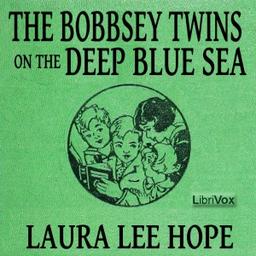 Bobbsey Twins on the Deep Blue Sea cover
