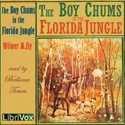 Boy Chums in the Florida Jungle cover