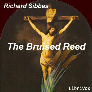 Bruised Reed cover