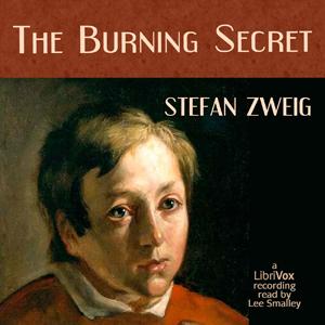 Burning Secret cover