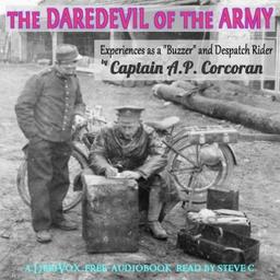 Daredevil of the Army - Experiences as a ''Buzzer'' and Despatch Rider cover