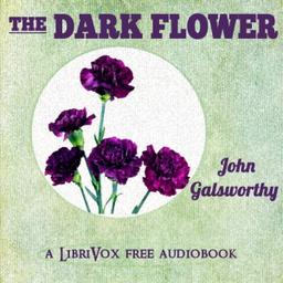Dark Flower cover