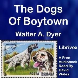 Dogs Of Boytown cover