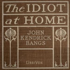 Idiot at home cover