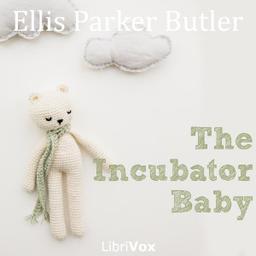 Incubator Baby cover