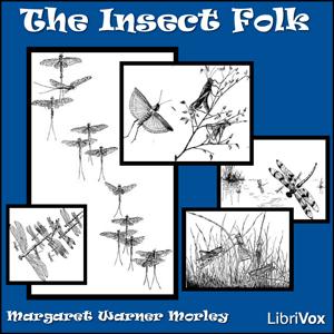 Insect Folk cover