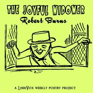 Joyful Widower cover