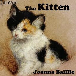 Kitten cover