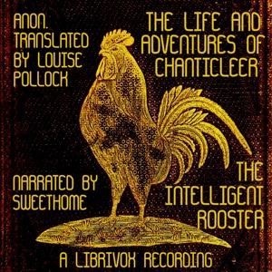 Life and Adventures of Chanticleer, the Intelligent Rooster. An interesting story in verse for children cover