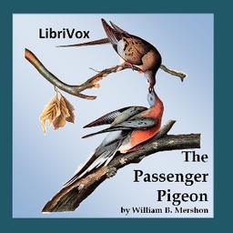 Passenger Pigeon cover