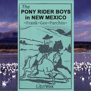 Pony Rider Boys in New Mexico cover