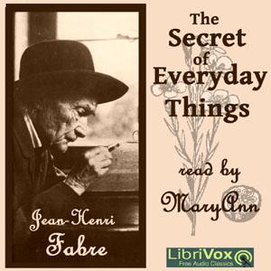 Secret of Everyday Things cover