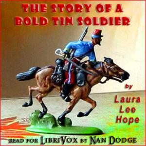 Story of a Bold Tin Soldier cover