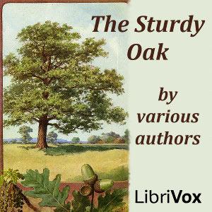 Sturdy Oak cover