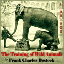 Training of Wild Animals  by Frank Charles Bostock cover