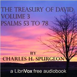 Treasury of David, Vol. 3 (Abridged) cover