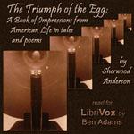 Triumph of the Egg: A Book of Impressions from American Life In Tales and Poems cover