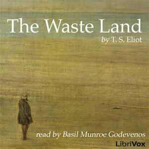 Waste Land cover