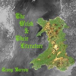 Welsh And Their Literature cover