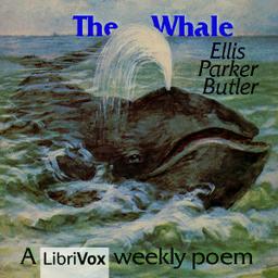 Whale cover