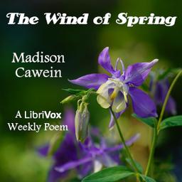 Wind Of Spring cover