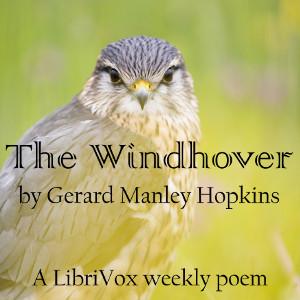Windhover cover