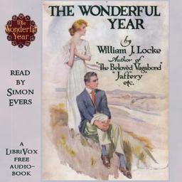 Wonderful Year cover