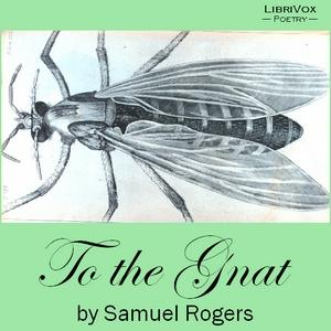 To the Gnat cover
