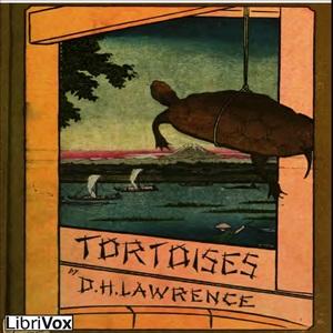 Tortoises cover