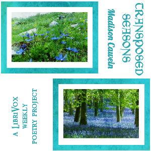 Transposed Seasons cover