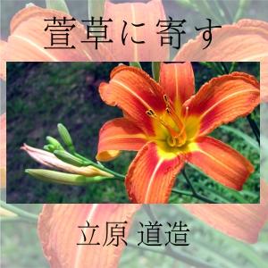 萱草に寄す (Wasuregusaniyosu) cover