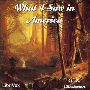 What I Saw in America cover
