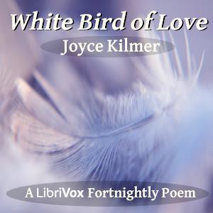 White Bird of Love cover