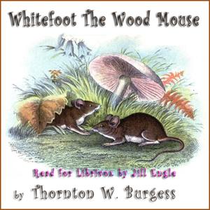 Whitefoot the Wood Mouse cover