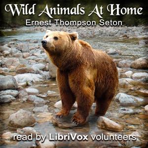Wild Animals At Home cover