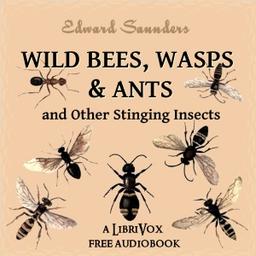 Wild Bees, Wasps and Ants and Other Stinging Insects cover