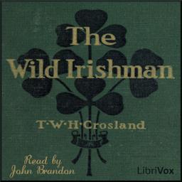Wild Irishman cover