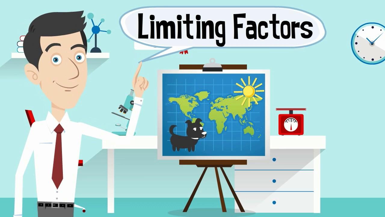 Yếu tố Giới hạn (Limiting Factors)