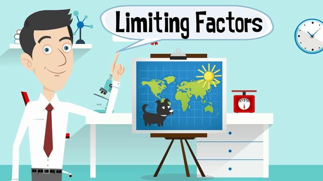 Yếu tố Giới hạn (Limiting Factors)