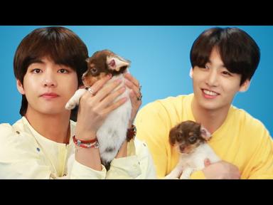 BTS Plays With Puppies While Answering Fan Questions cover