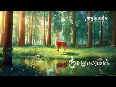 Light Music | 3 hours of spiritual music, admiring the stream, be quiet before God cover