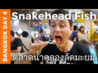 Snakehead Fish at Khlong Lat Mayom Floating Market - Bangkok Day 4 cover