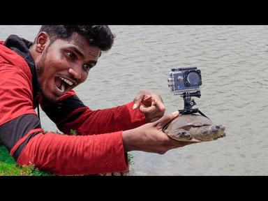 Turtle Vs My Camera In Underwater Testing | OMG 😱 What Will Happen ... cover
